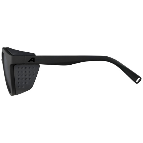 Alpina  очки солнцезащитные Glace фото 3