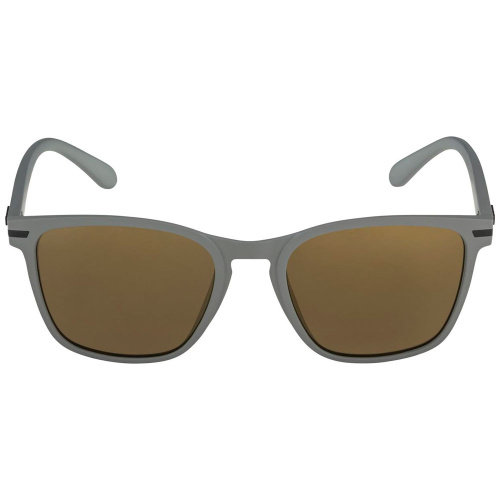 Alpina  очки солнцезащитные Yefe фото 2