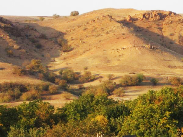 velogonka Shimkent26