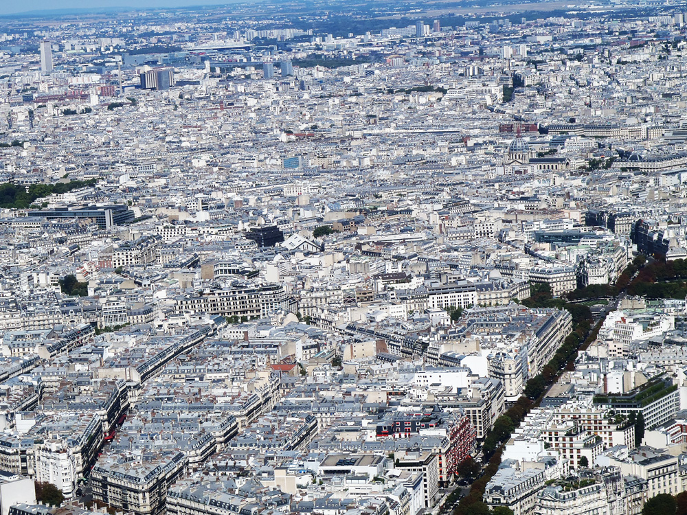 P8220071 1