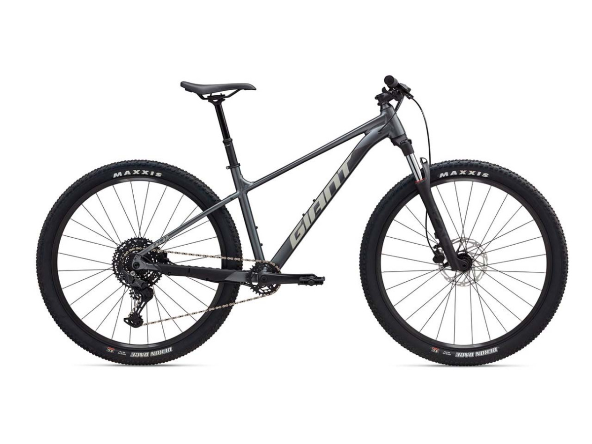 Giant Talon 29 1 2026