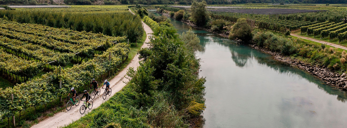 Целевая аудитория