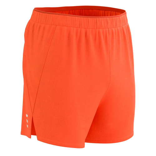 Compressport  шорты мужские Performance