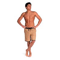 Arena  шорты мужские пляжные Arena bermuda