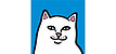 RipnDip
