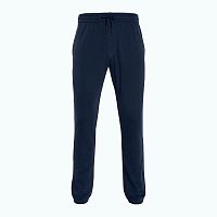 Wilson  брюки женские Team Jogger