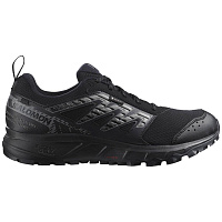 Salomon  кроссовки мужские Wander gtx