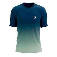 Compressport  футболка мужская Performance