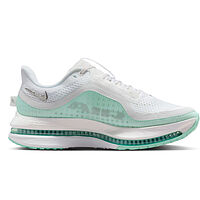 Nike  кроссовки женские Pegasus premium