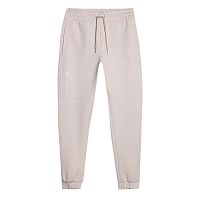 4F  брюки мужские Sportstyle