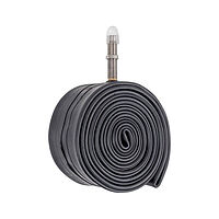 Schwalbe  камера AV19
