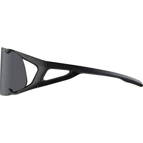 Alpina  очки солнцезащитные Hawkeye фото 3