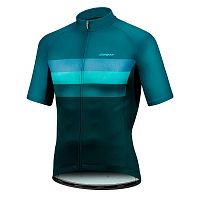 Giant  джерси мужское Rival SS Jersey