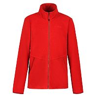 Icepeak  толстовка флисовая детская B Koyuk Jr