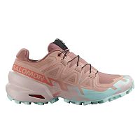 Salomon  кроссовки женские Speedcross 6