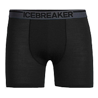 Icebreaker  шорты мужские Anatomica