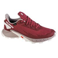Salomon  кроссовки женские Alphacross 4 gtx