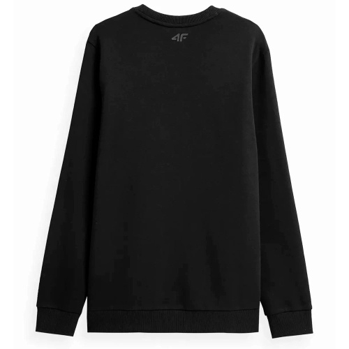 4F  толстовка мужская Sportstyle фото 2