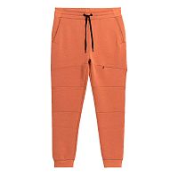 4F  брюки мужские Sportstyle