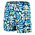 Speedo  шорты пляжные мужские Print leis Speedo (S, blue-green)