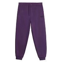 4F  брюки мужские Sportstyle