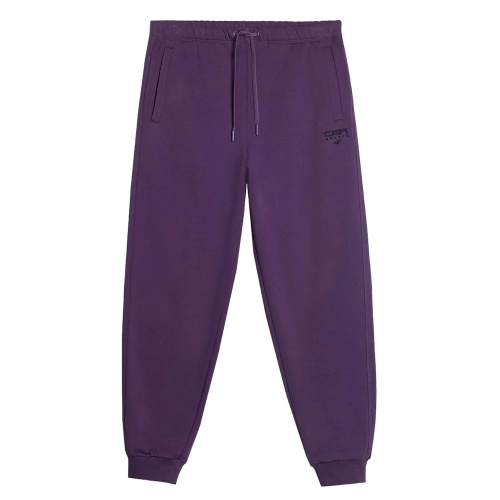 4F  брюки мужские Sportstyle