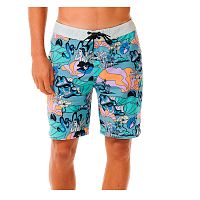 Rip Curl  шорты пляжные мужские Mirage postcards
