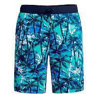 Speedo  шорты мужские пляжные Print bondi