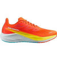 Salomon  кроссовки мужские Aero Blaze 2