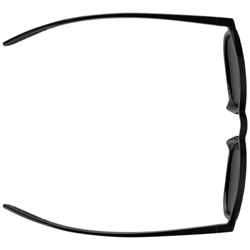 Alpina  очки солнцезащитные Dimont фото 5