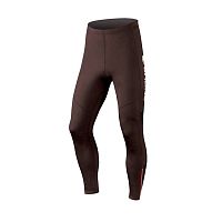 Endura  лосины мужские Thermoliter Tight