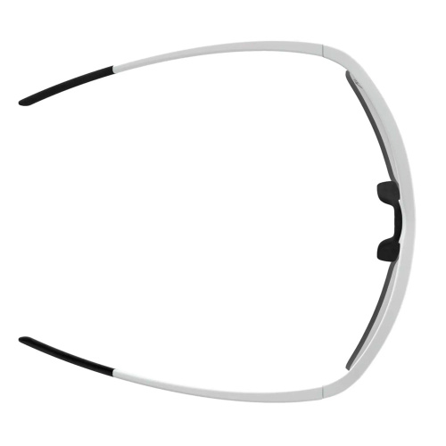 Alpina  очки солнцезащитные Eagle фото 5