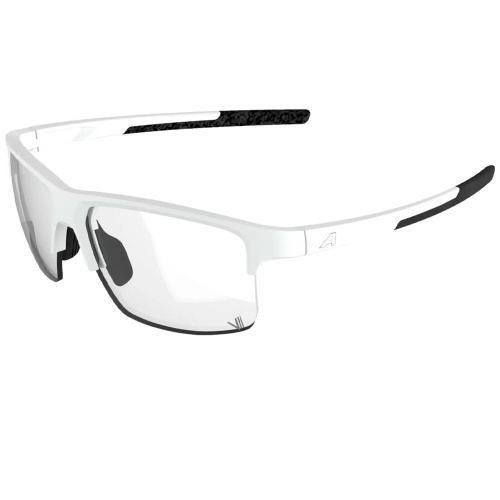 Alpina  очки солнцезащитные Eagle