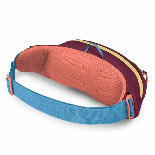 Osprey  поясная сумка Daylite Waist фото 3