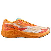 Salomon  кроссовки мужские Aero volt