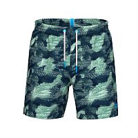 Arena  шорты мужские пляжные Water prints beach