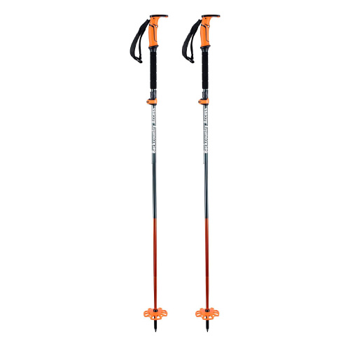 K2  палки горнолыжные Scepter - набор 4s