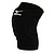 Mizuno  наколенники Vs1 Kneepad (L, black)