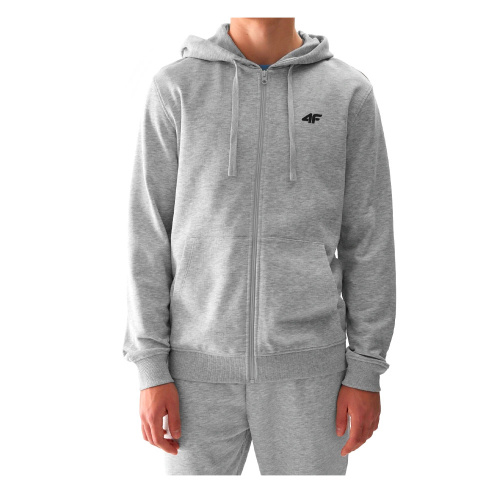 4F  толстовка мужская Sportstyle
