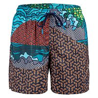 Arena  шорты мужские пляжные Placed