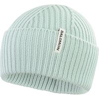 Salomon  шапка Snowbird