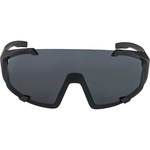 Alpina  очки солнцезащитные Hawkeye фото 2