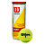 Wilson  мячи теннисные Championship x3 (24) (one size, yellow)