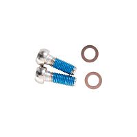Avid  набор болтов д/диск. тормоза Mounting - stainless (2pcs)