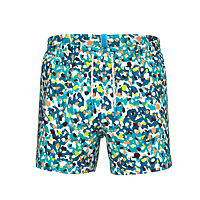 Arena  шорты мужские пляжные Water prints ao