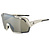 Alpina  очки солнцезащитные Rocket Bold (one size, cool-grey matt Q-LITE silver)