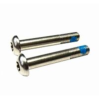 Sram  комплект болтов - Stainless T25 15mm (2 Pcs) - Flat Mount Caliper
