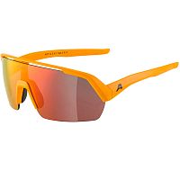 Alpina  солнцезащитные очки Turbo HR