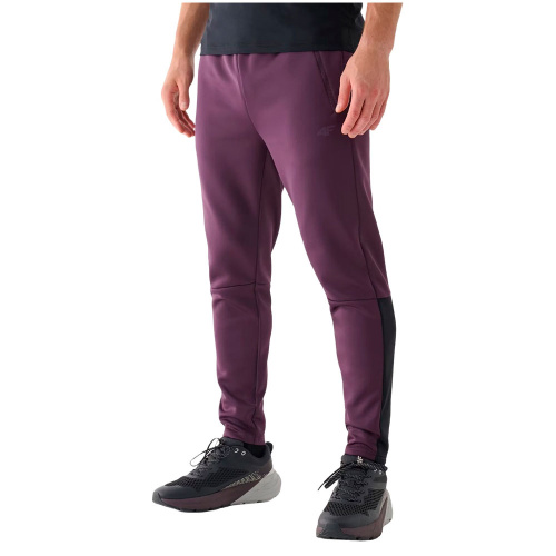 4F  брюки мужские Training фото 2