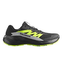 Salomon  кроссовки мужские Alphaglide gtx